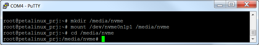 Make a directory for the SSD and mount it