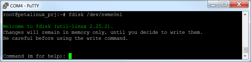 Running fdisk